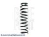 OPEL 096567238 Coil Spring